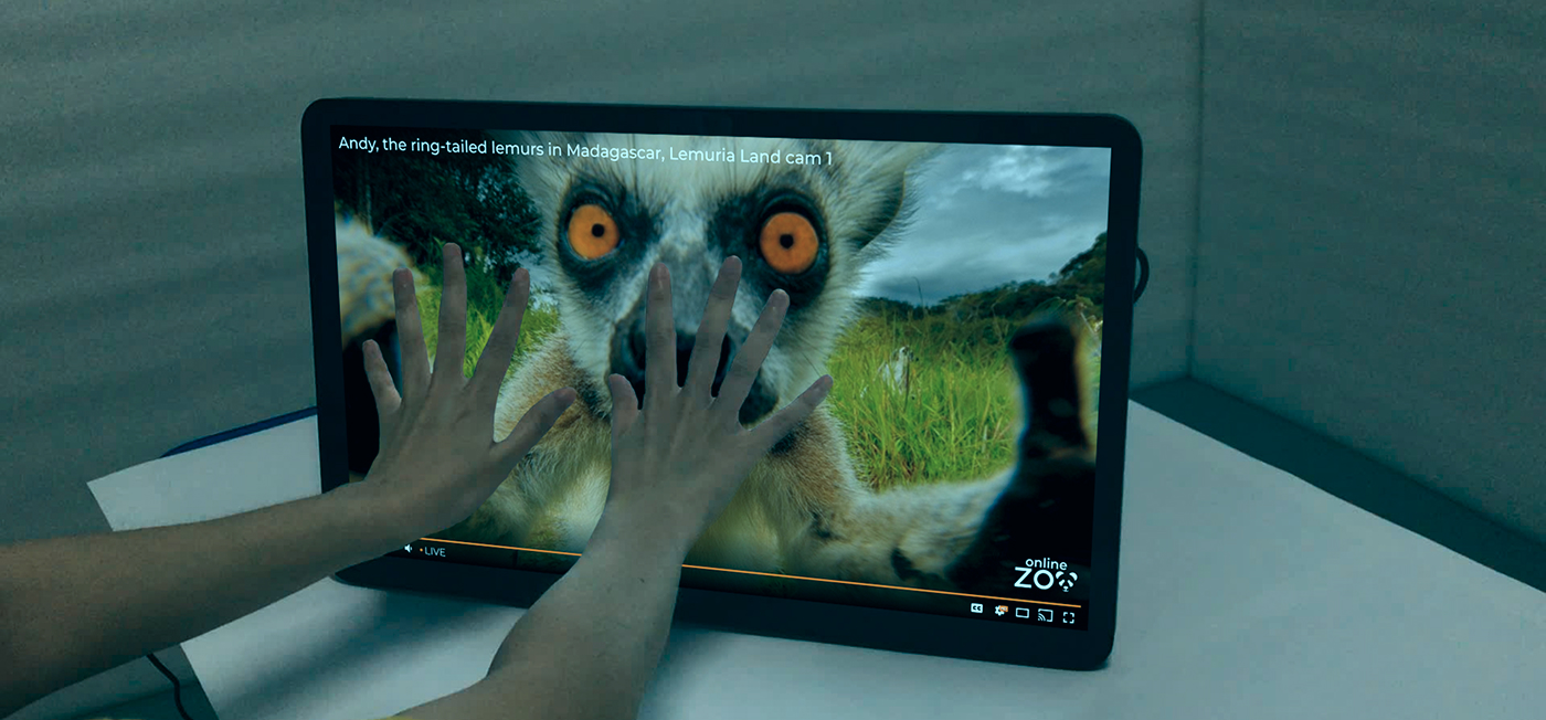 Interactive lemur screen